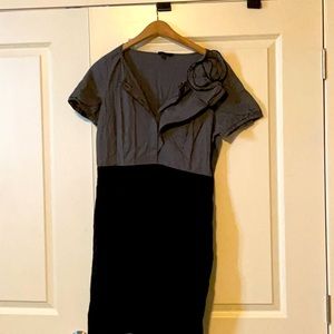 Limited dress size 12